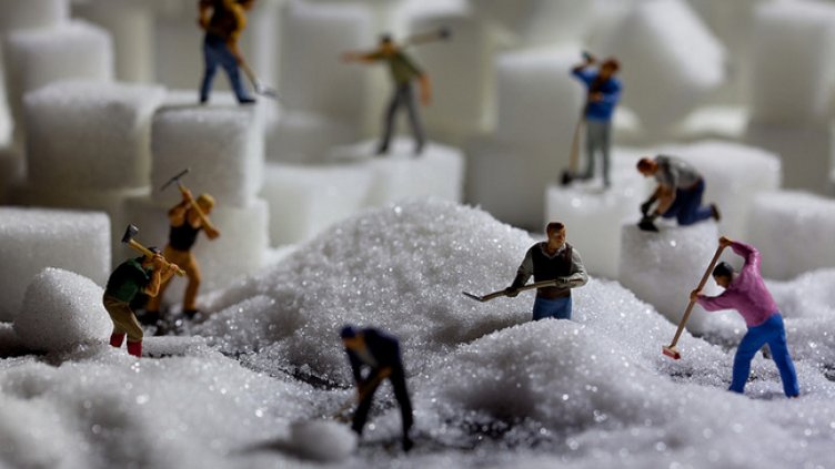 Защо да четем етикетите на храната в магазина?