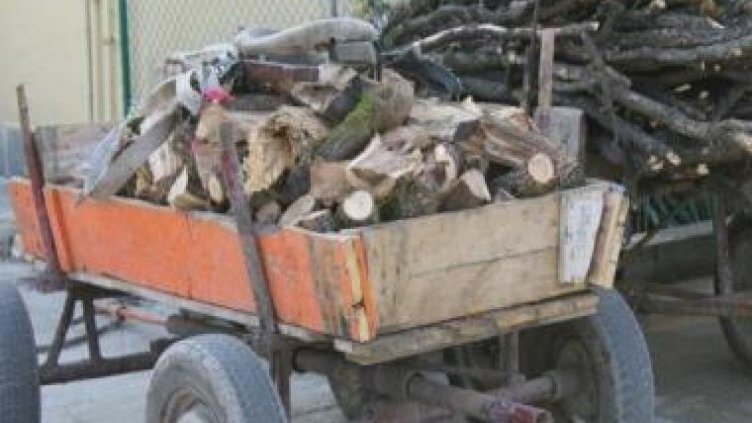 Горските стражари във Варненско задържаха две каруци с незаконна дървесина 