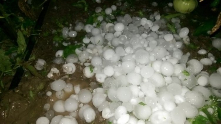 Защитават от градушка над 1 млн. дка в Старозагорско и Пловдивско