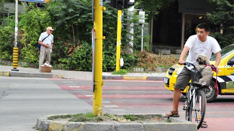 Снимка Пламен Гутинов, архив