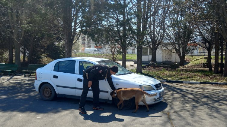 Започват кампании срещу пияни и дрогирани водачи във Варна