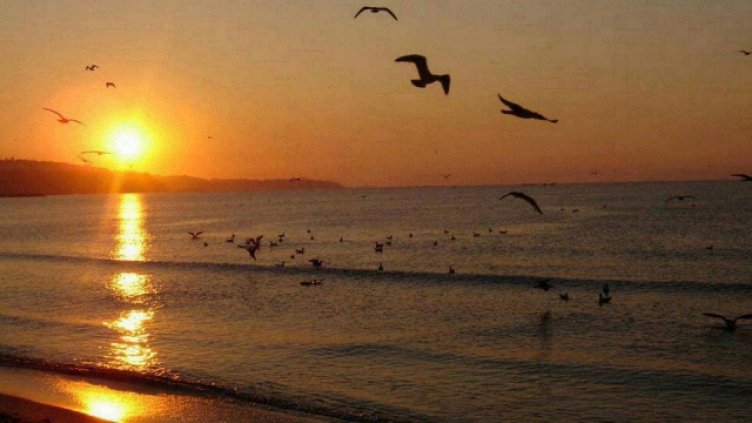 В „Утро в нашия град“ на 30 март очаквайте