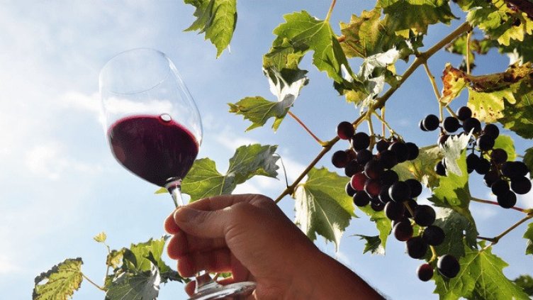 Избират най-добрите винари за 2020-а в Бяла