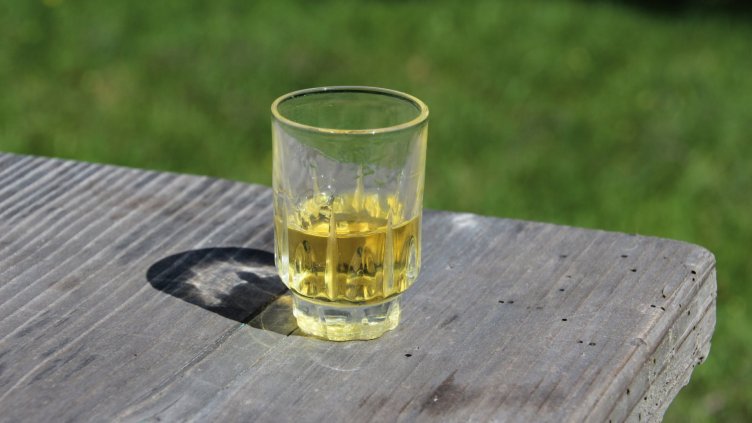 Виц на деня - 26 май