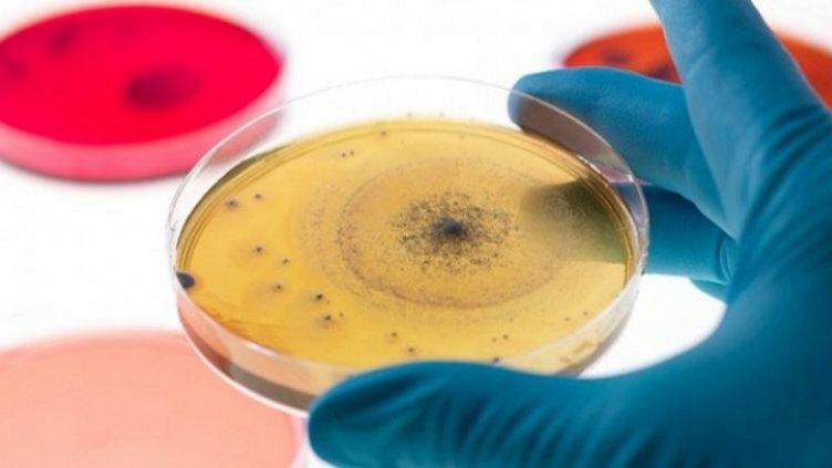 Тръгва най-успешната терапия на хепатит С