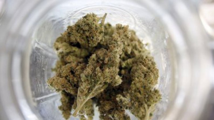 Варненец отнесе 500 лв глоба за притежание на марихуана