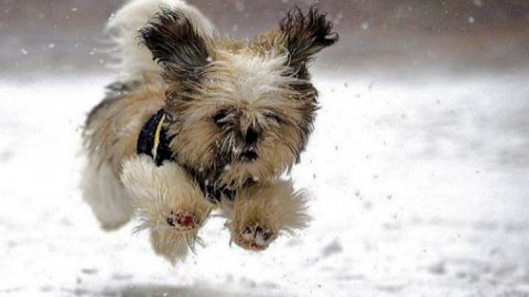 Новата година идва със сняг и студ