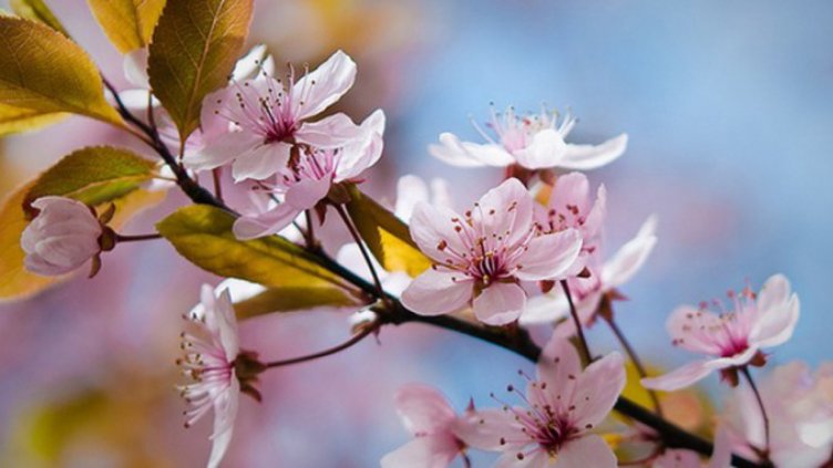 Слънце ще ни радва и в понеделник