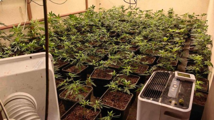 Пореден удар по наркоразпространението във Варна (СНИМКИ)