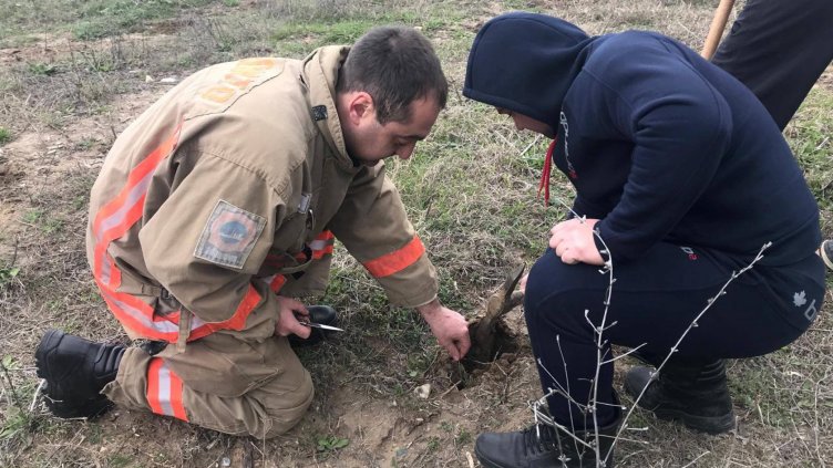 Засаждат 1000 фиданки край Варна