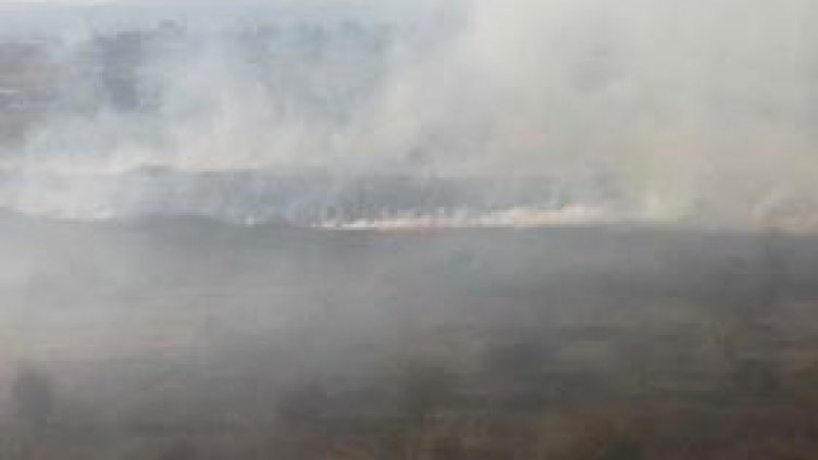 Огънят във Владиславово приближава Джъмбо