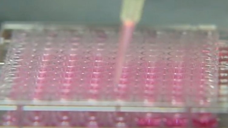 Кадър: Bulgaria ON AIR