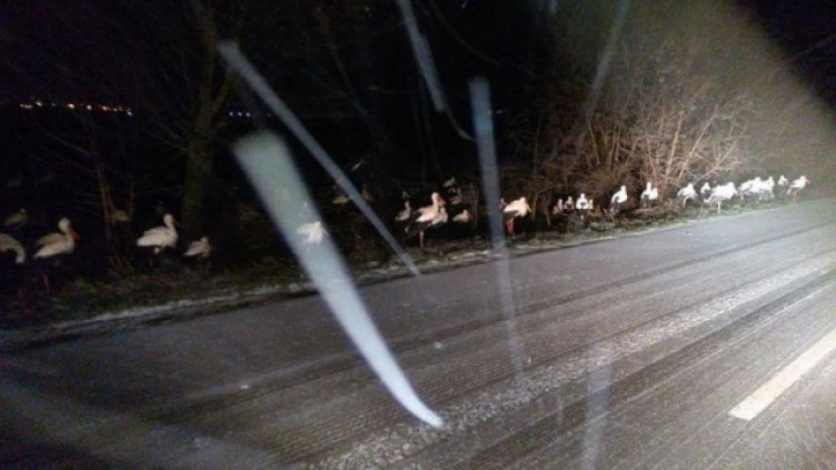 Снимката е илюстративна