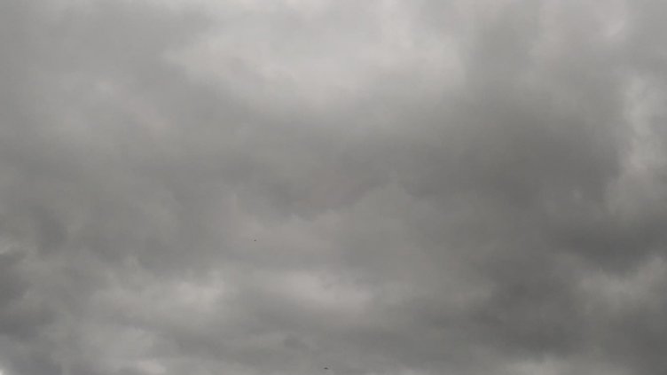 Студено време, но без сняг до края на седмицата