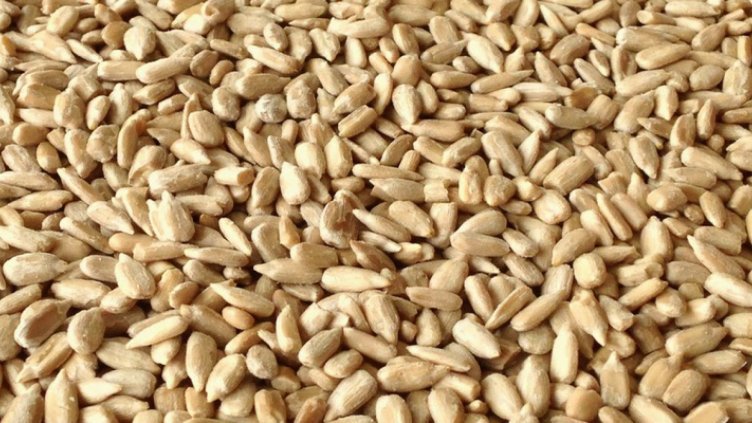 България е №1 по износ на брашно от слънчоглед