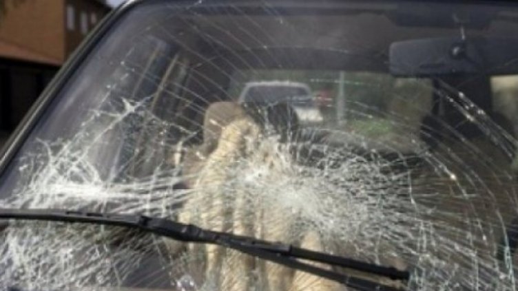 Спипаха варненец да троши автомобила на бившия си шеф