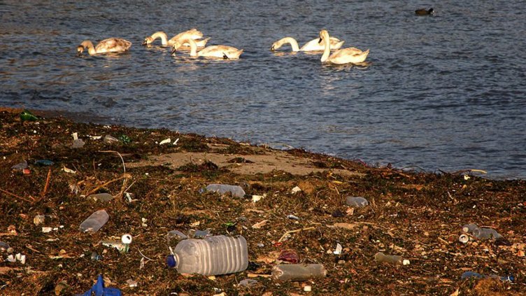 снимки: Ели Маринова. Варненският бряг след буря. Морето „върна“ обратно на хората част от „даровете“ им.