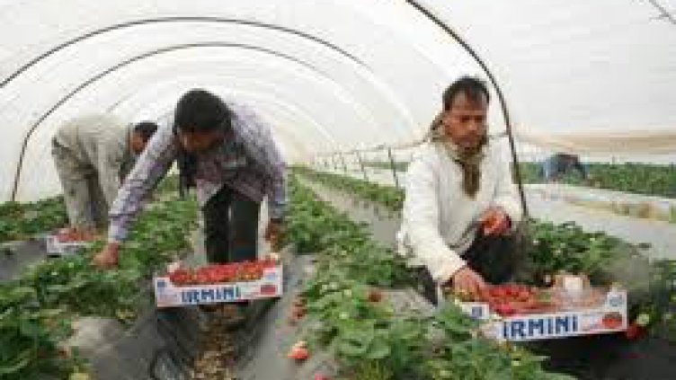 Нашенци: В Гърция и в криза е по-добре от България