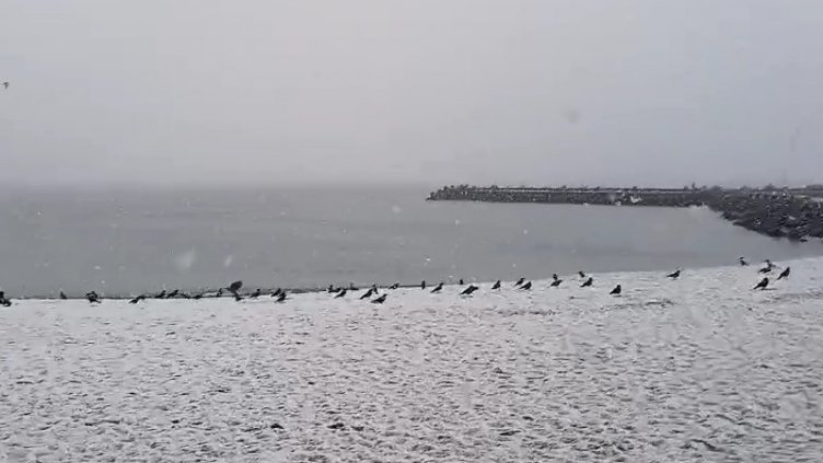 Сняг на парцали заваля във Варна