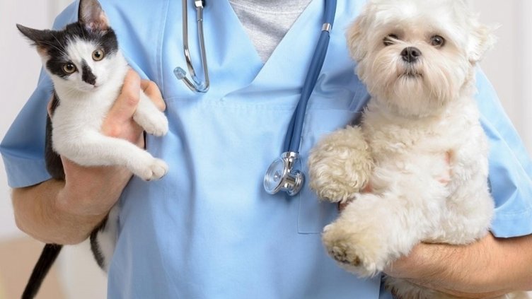 14 декември - празник на ветеринарните специалисти