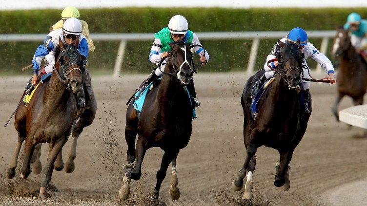 Гръмнаха с карабина състезателен кон