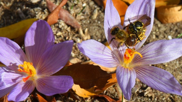 Пореден топъл есенен ден във Варна