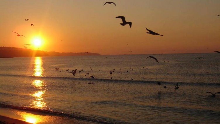 В „Утро в нашия град“ на 10 юни очаквайте