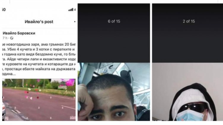 Тийнейджър се гаври явно в нета: Убих четири кучета и три котки с пиратки!