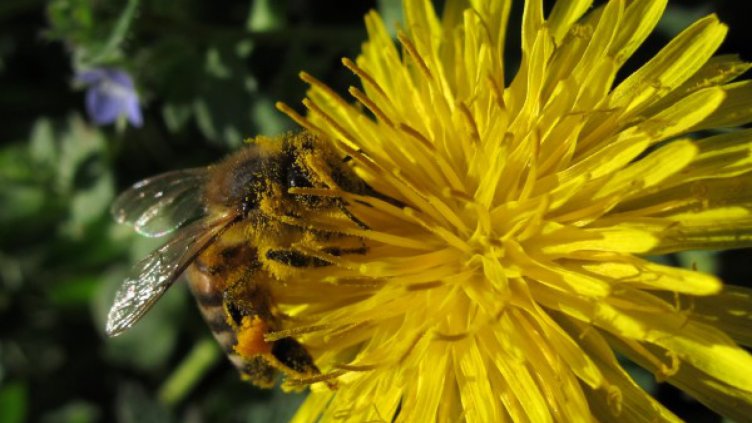 Денят започва със слънце утре, после може да превали