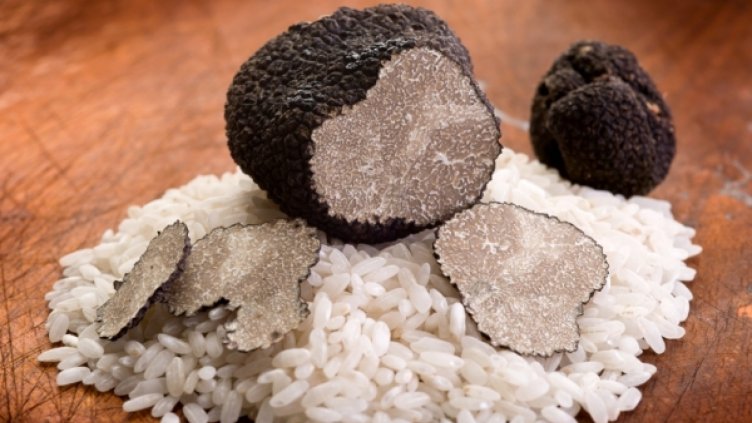 У нас ще отглеждаме черен трюфел в плантации 