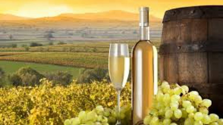 В Португалия изобретиха безвреден консервант за вино от черупки на скариди