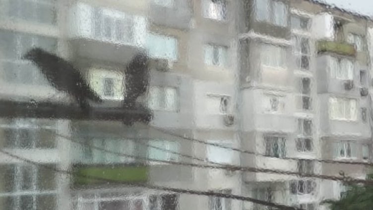 Дъждовно и облачно в неделя по морето