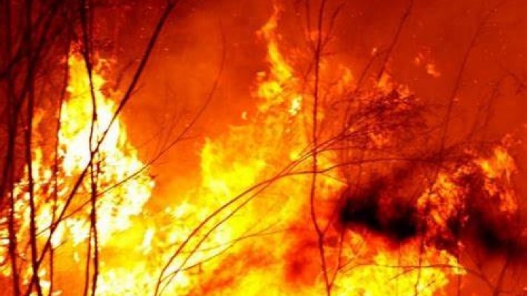 Мъж обгоря тежко при пожар в асфалтова база във Варненско