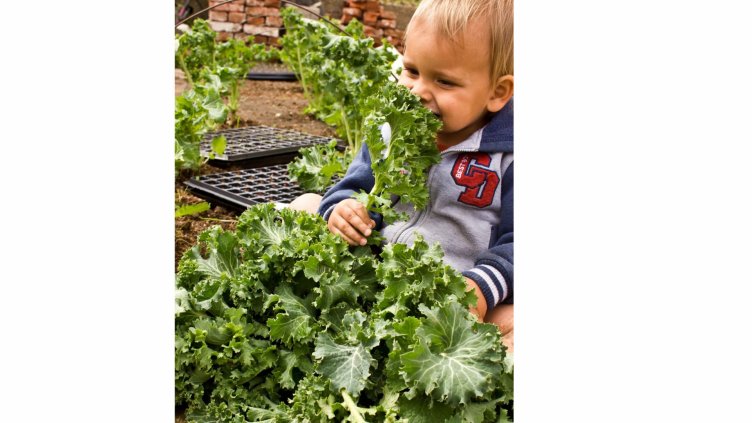 Учат малки деца във Варна как се садят зеленчуци и отглеждат животни