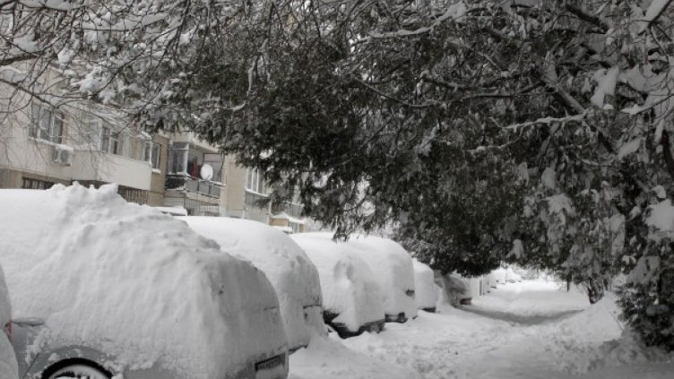 Най-дебелата снежна покривка – в Свищов