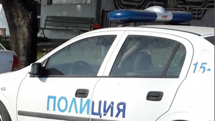 Мъж разстреля куче с пушка в плевенско село