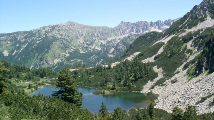 Как да оцеляваме, като пазим природата