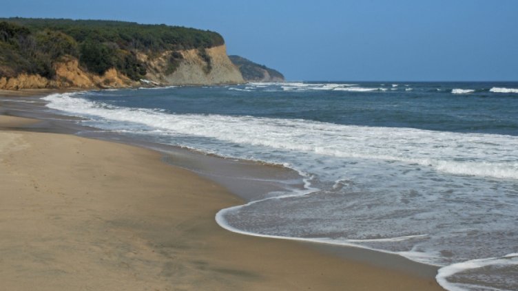 Допълват мрежата от защитени зони в Черно море с 11.7 млн. лева