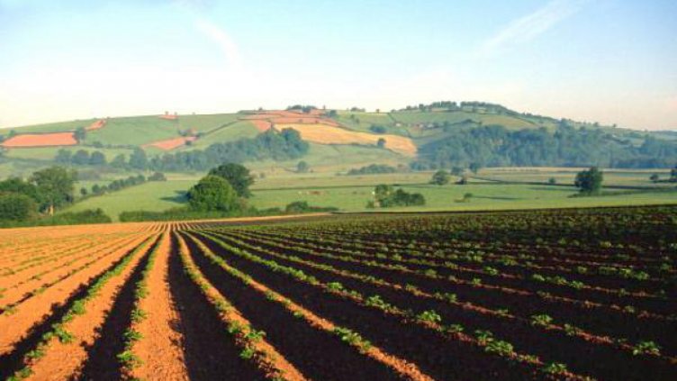 Обработваемите площи в страната се увеличават