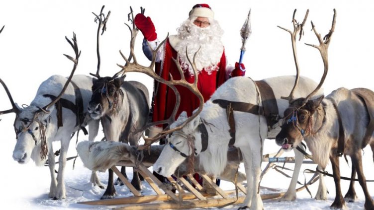 Как се казват елените на Дядо Коледа?