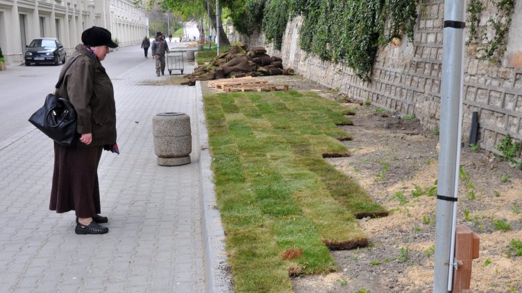 Снимка Пламен Гутинов