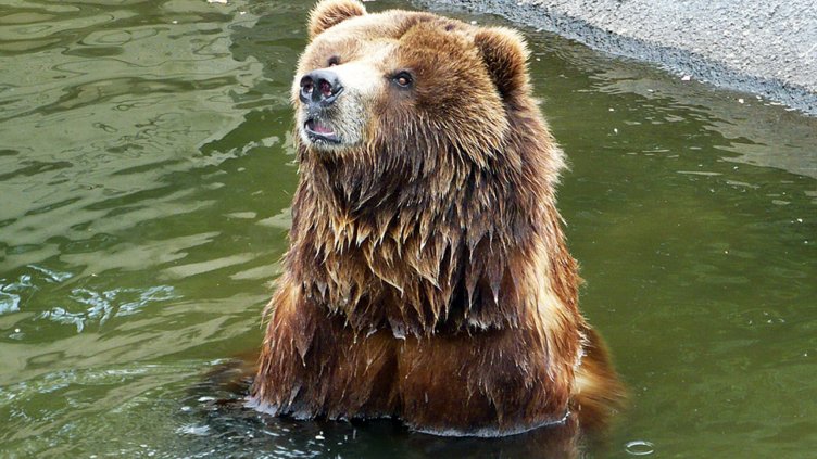 Нестандартен подарък за Коледа от Варненския зоопарк