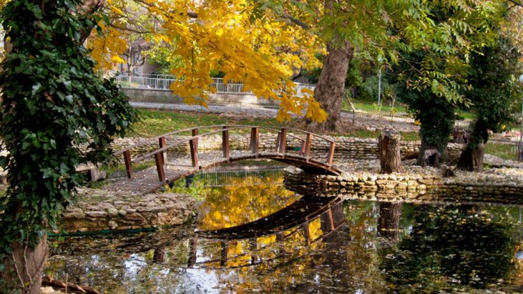 Работна среща на зоопарковете се провежда във Варна