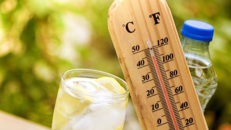 5 храни, към които не бива да посягаме в жегите