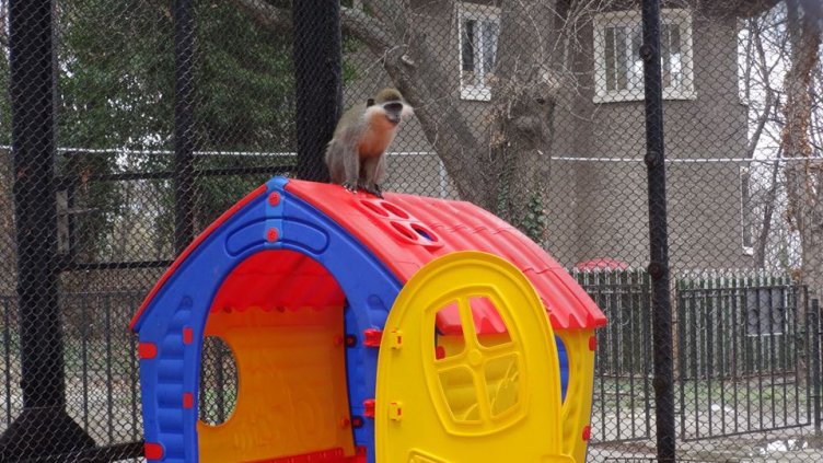 Снимки: Зоопарк Варна