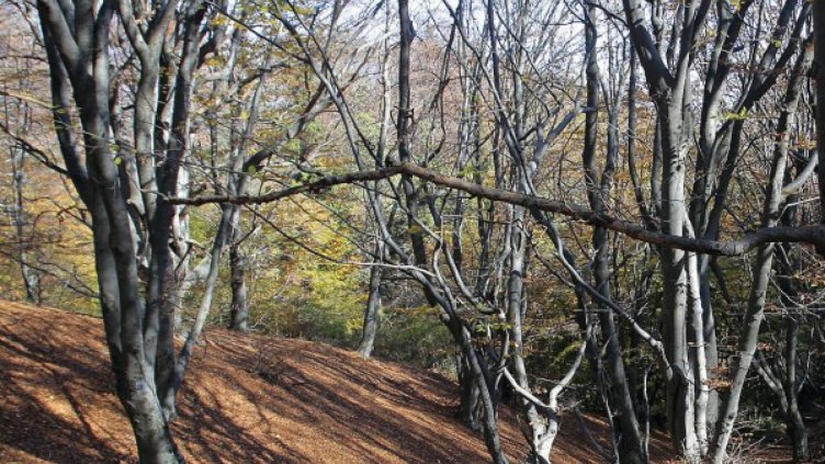 Посрещаме есента в 11 часа и 22 минути