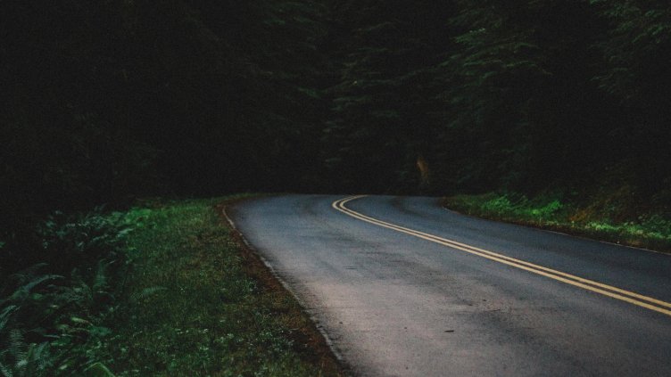 Снимка: Pixino