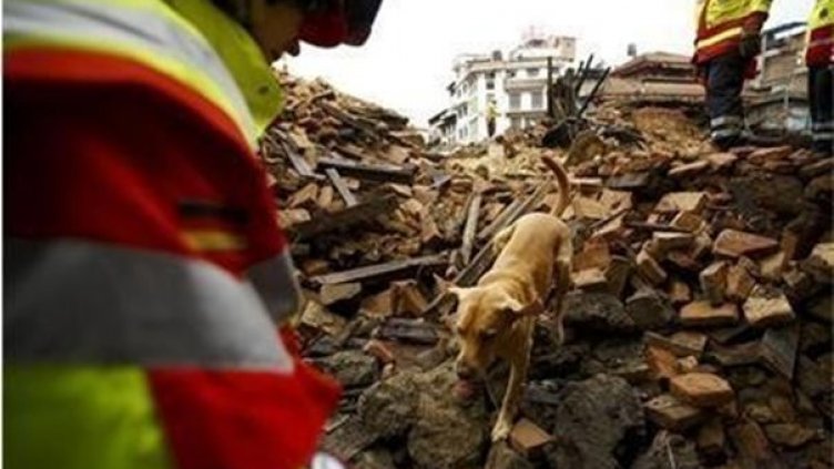 При силен трус... Как е правилно да действаме, за да запазим живота си?