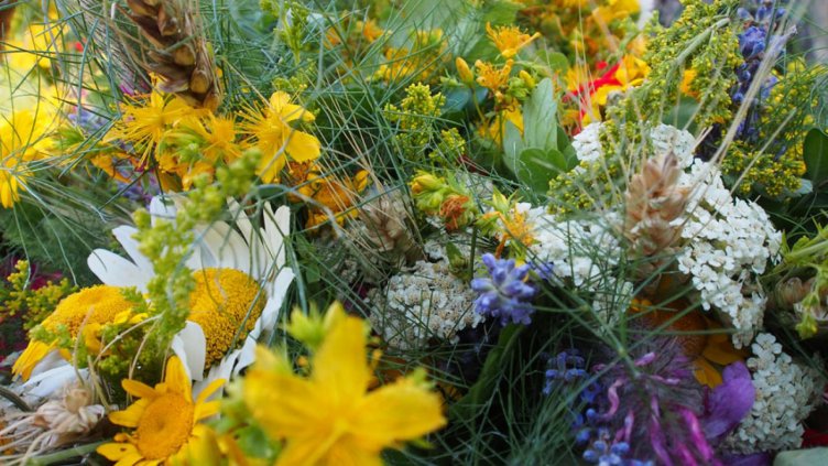 Снимка БГНЕС