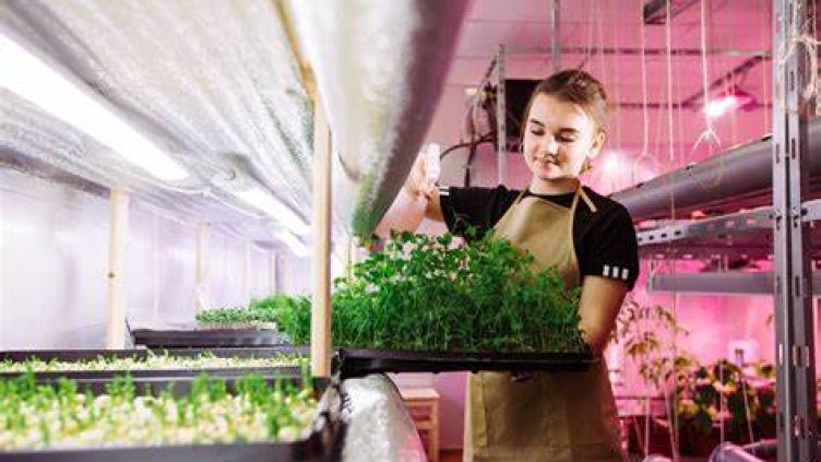 Над 6 600 са фирмите във Варненско, които декларират, че бизнесът им е семеен